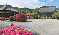 大淀町画像